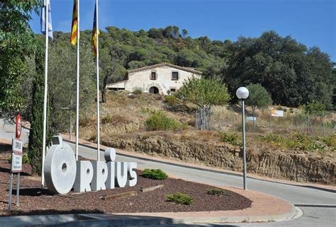 bosque encantado barcelona|El Bosque de Orrius: una excursión un tanto surrealista